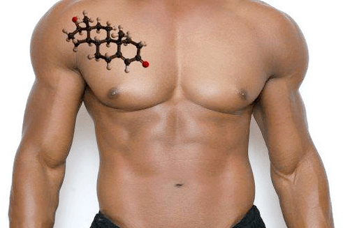 przystojny męski tors